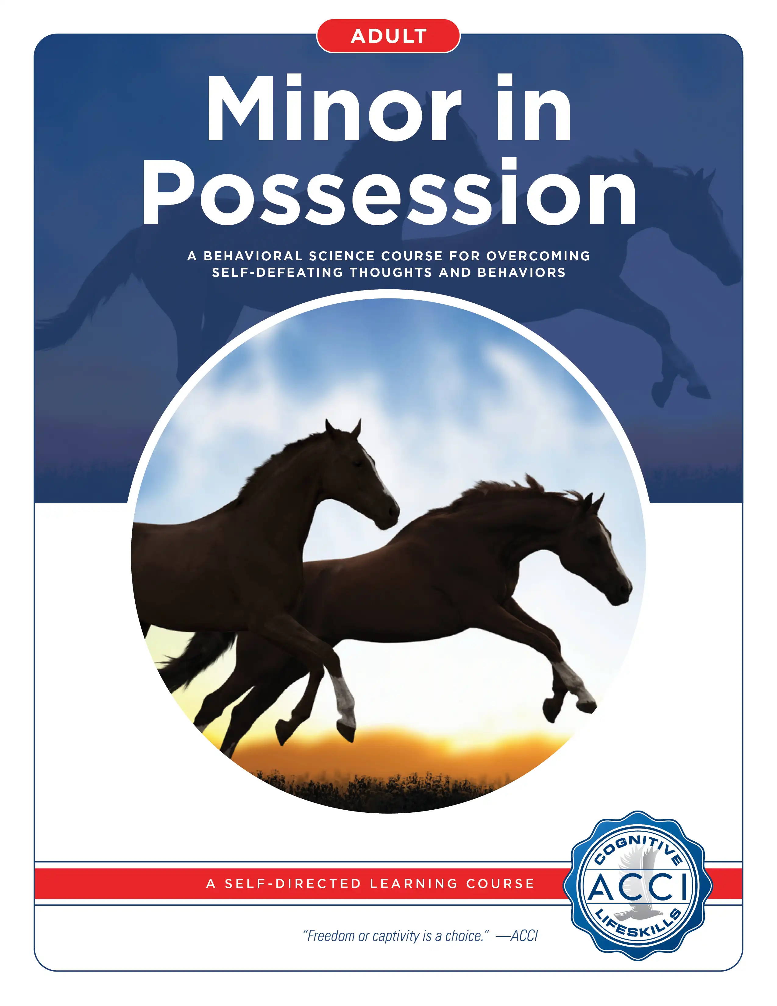 Minor In Possession