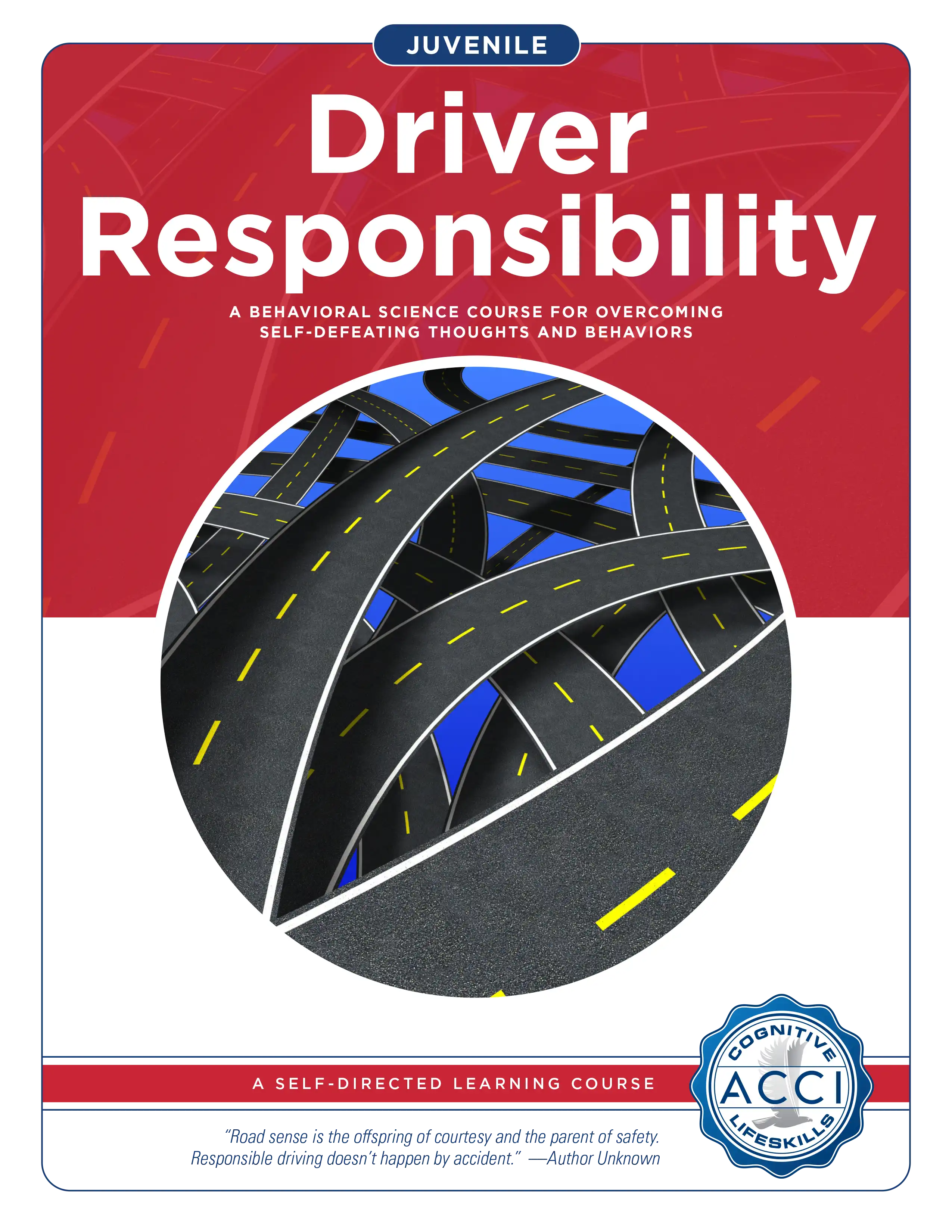 Youth Driver Responsibility